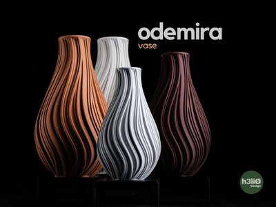 Odemira - Vaas
